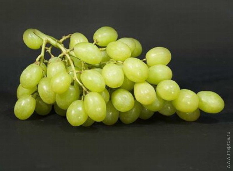 Осень на дворе —  виноград на столе