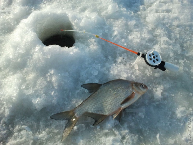 На Тезе пройдет зимний рыболовный тур «Шуйская рыбалка -2019»