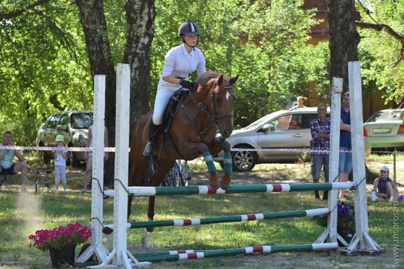 Кубок г. о. Шуя по конному спорту