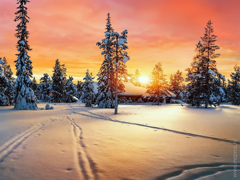Красит снежная зима сад, дороги, речку и дома...