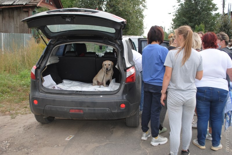 Волонтёры изъяли из «концлагеря» более 30 собак