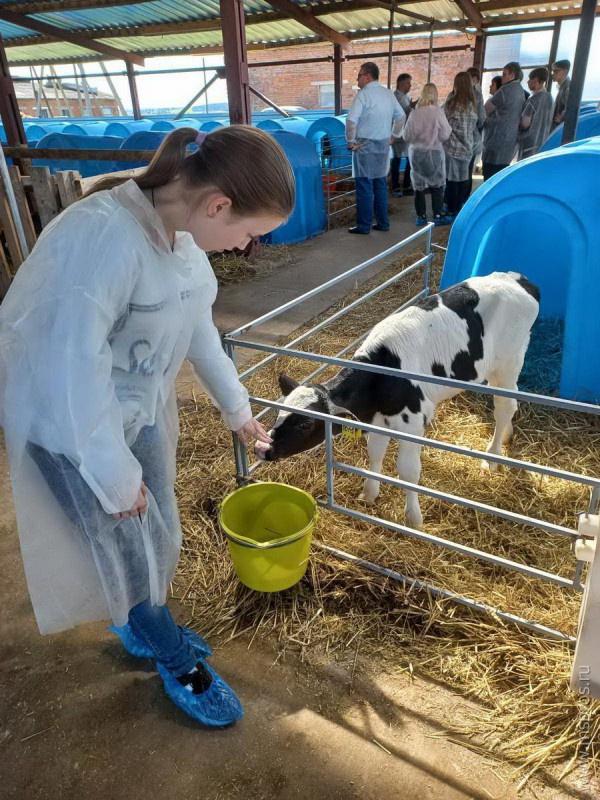 Новости Шуйского района