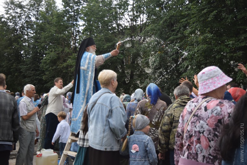 Заступница  и Покровительница наша