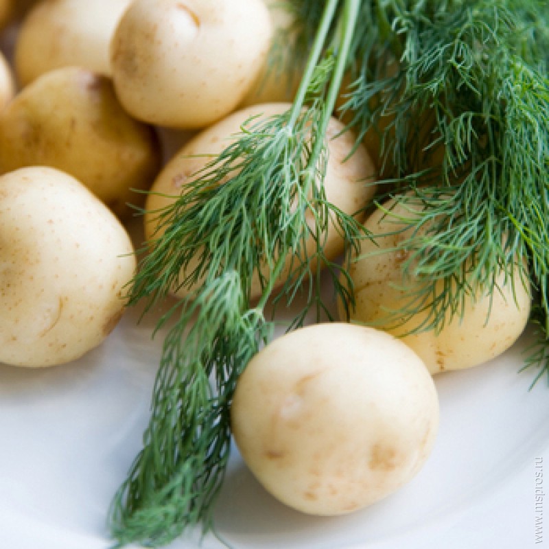 Картошка в мундире – генерал по кухне
