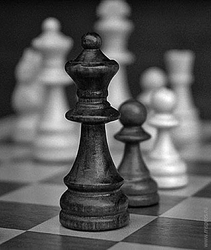 Шуйский шахматист – лучший спортсмен Ивановской области