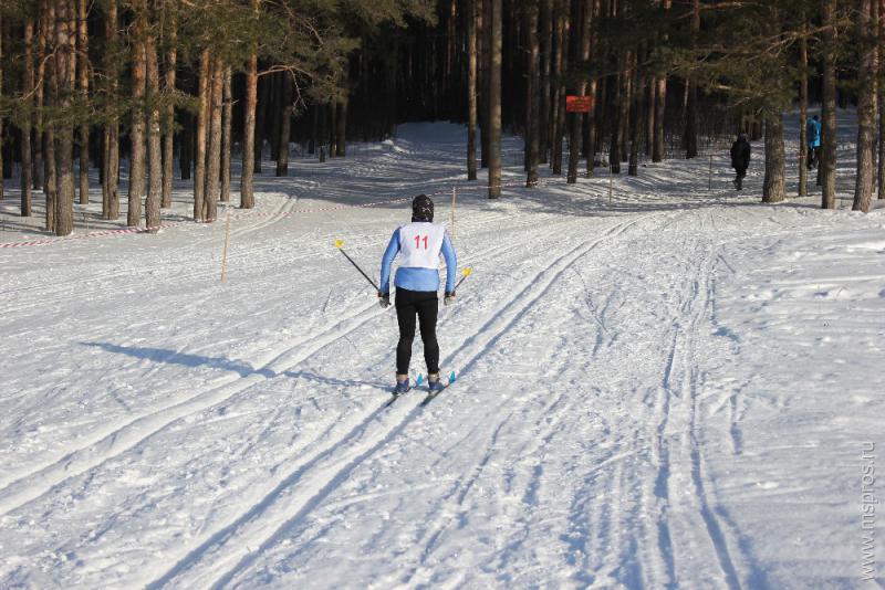 Лыжный марафон в Шуе
