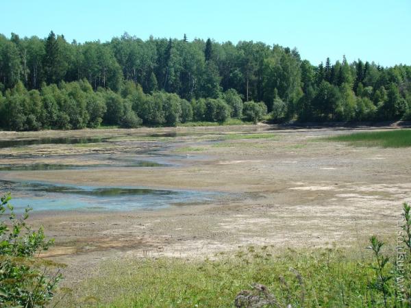 Что стало с Михалёвским озером?